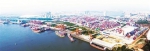 武汉航运中心核心港区——阳逻集装箱码头全景 - 新浪湖北