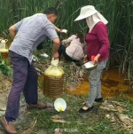 湖北一地菜籽油泄漏遭村民抢捞 企业每斤一元赎回 - 新浪湖北