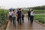 肖长惜出席武汉种业博览会组委会第十次会议 - 农业厅