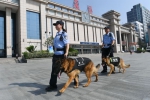 上合峰会期间与战友一起牵着警犬巡视在襄阳火车站。 - Hb.Chinanews.Com