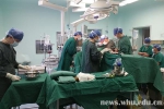 人民医院7天成功实施4例心脏移植 - 武汉大学