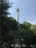 图为武汉市光谷第六小学旁的5G通信基站杆塔。 - 新浪湖北