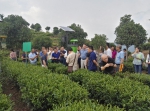 全国茶叶绿色生产模式及配套技术培训班在我省恩施市成功举办 - 农业厅