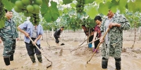 图为：巴东县官渡口镇西溪坝村葡萄种植户积极救灾 - 新浪湖北