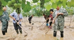 图为：巴东县官渡口镇西溪坝村葡萄种植户积极救灾 - 新浪湖北