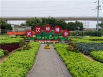 张桂华出席“2018武汉种业博览会”开幕式 - 农业厅