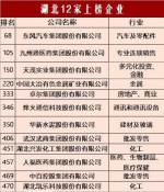 武汉上榜7家企业“画像” - 新浪湖北