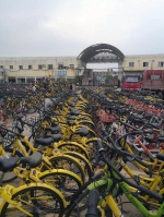 武汉硚口区3天清理背街小巷“霸道”共享单车5000辆 - 新浪湖北