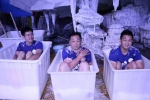 武汉海昌公园举行冰极挑战 -5℃游客与企鹅亲密接触 - Whtv.Com.Cn