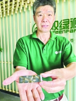武汉研发出全国首个水稻基因组智能育种系统 - Whtv.Com.Cn