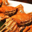 全国首个大闸蟹团体标准发布，辨别好蟹请看这五个等级 - Whtv.Com.Cn