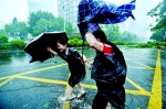 图为9月16日，强台风“山竹”来袭。在深圳市南山区科技园，行人在风雨中前行 新华社发 - 新浪湖北