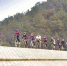 图为：市民组团骑行在江夏绿道 - 新浪湖北