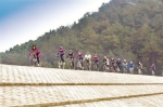 图为：市民组团骑行在江夏绿道 - 新浪湖北