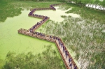 图为：武汉一家公司组织员工在金银湖绿道徒步 - 新浪湖北