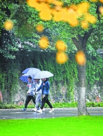 中南民族大学校园内雨中出行的学生 记者李子云 摄 - 新浪湖北