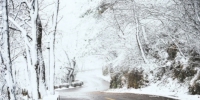 7日，适逢二十四节气中的大雪，武汉木兰山迎来初雪，银装素裹，如同仙境记者任勇 彭年 摄 - 新浪湖北