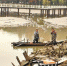 图为近日，趁天气晴好武汉东湖观鱼池抽水清淤 楚天都市报记者钟边摄 - 新浪湖北