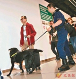 资料图：香港海关使用拉布拉多钞票搜查犬开展工作。图片来源：香港《文汇报》 记者 彭子文/摄 - Whtv.Com.Cn