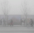 资料图：雾锁天津。中新社记者 佟郁 摄 - 新浪湖北