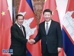 习近平会见柬埔寨首相洪森 - Whtv.Com.Cn