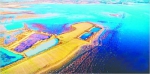 武汉安山湿地公园正式成为国家级 - Whtv.Com.Cn