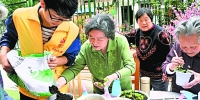 志愿者在养老院参加种植活动 - 新浪湖北