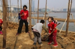 孩子们在家长的帮助下合力植树 - 新浪湖北