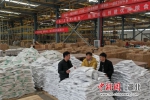 廖仔杰(中)和同事在公司的仓库 - Hb.Chinanews.Com