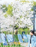 武汉20多个赏樱片区吸引全国游客来打卡 - Whtv.Com.Cn