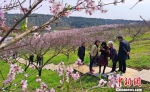 每年都会有大量游客前来赏花。 刘康 摄 - Hb.Chinanews.Com