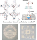 邓鹤翔程佳瑞团队合作实现金属纳米微晶芯片高速打印 - 武汉大学