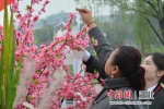写下体验心情或感悟挂在树上 - Hb.Chinanews.Com