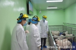 动物实验中心获国际实验动物评估和认可委员会完全认证 - 武汉大学