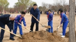 习近平在参加首都义务植树活动时强调：发扬中华民族爱树植树护树好传统 推动国土绿化不断取得实实在在的成效 - Whtv.Com.Cn