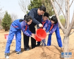 习近平在参加首都义务植树活动时强调：发扬中华民族爱树植树护树好传统 推动国土绿化不断取得实实在在的成效 - Whtv.Com.Cn