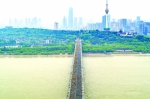 选手奔跑在长江大桥上 记者陈卓 摄 - 新浪湖北