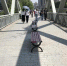 图为中南路人行天桥上的长椅（记者姚传龙摄） - 新浪湖北