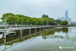 6.5公里环湖水岸线，藏着武汉最具人文气息的初夏风光 - Whtv.Com.Cn