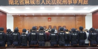 麻城警方打掉13人黑社会组织 头目获刑16年10个月 - 新浪湖北