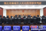 麻城警方打掉13人黑社会组织 头目获刑16年10个月 - 新浪湖北