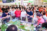 张桂华出席第十七届（2019）中国畜牧业博览会 - 农业厅