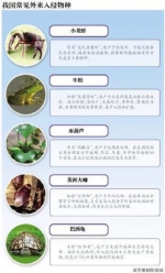 “吃”不能解决问题 小龙虾上榜入侵物种名录 - 新浪湖北