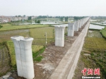 图为，完成下部结构的安九高铁湖北段长江引桥 李庆华 摄 - 新浪湖北