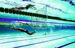图为：五环体育中心游泳馆主要承担武汉军运会水上救生项目项目比赛。 - 新浪湖北