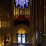巴黎圣母院玫瑰花窗（图源：路透社） - 新浪湖北