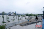 资料图：7月12日，长江武汉关水位突破25米设防水位。武汉市已于当日启动防汛应急四级响应，各项防汛准备工作就绪。中新社记者 张畅 摄 - 新浪湖北