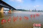 16日，长江武汉段水位上涨，市民江中畅游　张畅　摄 - 新浪湖北