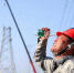 湖北多地创用电负荷新高，图为高温下的电力检修人员（资料图）　刘晓飞　摄 - 新浪湖北