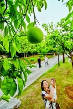 图为：一位妈妈教孩子认识果树 - Hb.Chinanews.Com